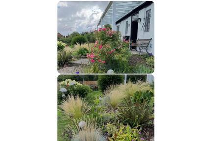 Modernisiertes Familienparadies in Burgdorf-Weststadt