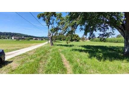 Freizeitgrundstück_ Gartenhaus Günstig Absolute Diskretion. MUST BUY! - Singen (Hohentwiel)