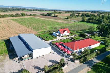 Grundstück in Wiesbaden 2.500.000,00 € 33425 m²