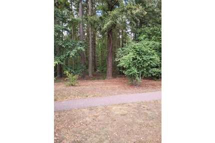 Wohnung zum Kaufen in Grünheide 199.000,00 € 63 m²