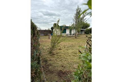 Gartenkleingarten - 500,00&nbsp;EUR Kaltmiete, ca.&nbsp; 0,00&nbsp;m&sup2; in Wurzen (PLZ: 04808)