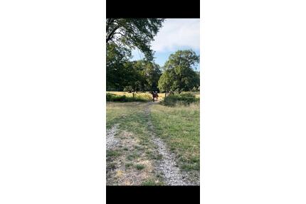 Weideland für 2026 verfügbar - 600,00&nbsp;EUR Kaltmiete, ca.&nbsp; 0,00&nbsp;m&sup2; in Geestland (PLZ: 27624) Bad Bederkesa