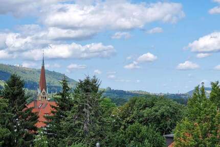 Wohnung zum Kaufen in Bad Harzburg 339.000,00 € 150 m²