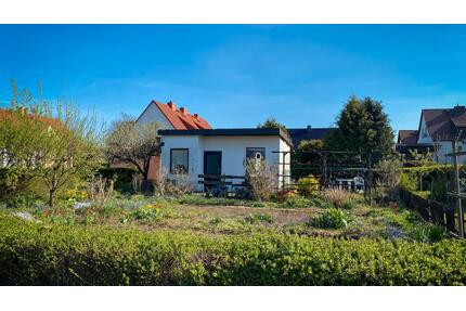 Pachtgarte Garten in Magdeburg Stadtfeld