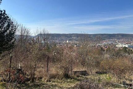 Garten ab 1.4. in Jena Ost zu vermieten für 80 EuroMonat
