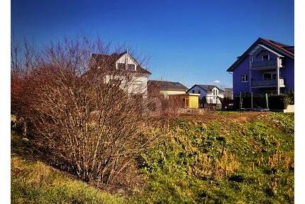 DIREKT BEBAUBAR, PLANUNGSSICHER - Bahlingen am Kaiserstuhl