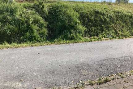 Grundstück zu verkaufen in Dürrröhrsdorf Dittersbach 140.000,00 € 980 m²