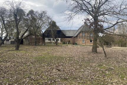 Haus im Grünen-nur 1h von Berlin, Alleinlage+großes Grundstück - Penzlin