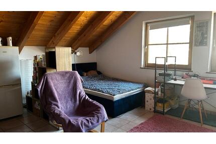 Appartement 1 Zimmer Wohnung ca. 30 qm, Hagenheim - Landsberg am Lech Ellighofen