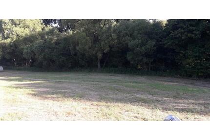 Grünland 3 Flurstücke am Bachlauf in der Gemarkung Grävenwiesbach