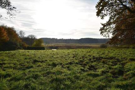 Parkartiges Baugrundstück in 2. Reihe mit unverbaubarem Blick über die Billewiesen - Trittau