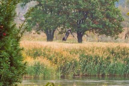 TRAUMHAFT RENOVIERTE HOFSTELLE - MIT CHARME UND SCHEUNE - UND MIT 4 WOHNEINHEITEN - Bleyen-Genschmar