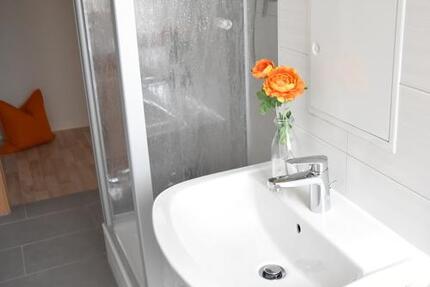 Starter-Wohnung mit Dusche - 305,00&nbsp;EUR Kaltmiete, ca.&nbsp; 47,00&nbsp;m&sup2; in Freiberg (PLZ: 09599)