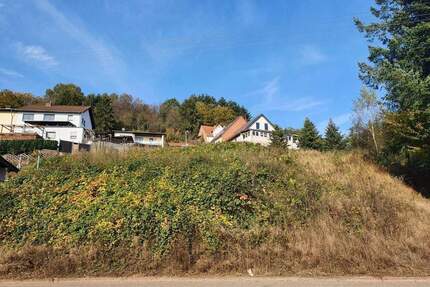 Südlage Großes Baugrundstück mit Fernblick Eppelborn OT