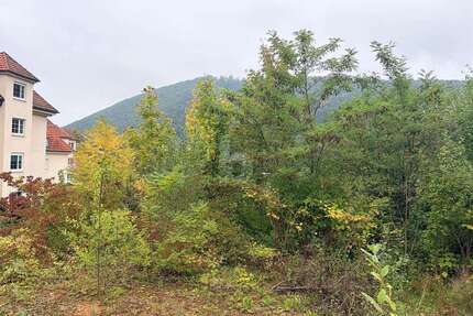 Grundstück zu verkaufen in Badenweiler 350.000,00 € 1196 m²