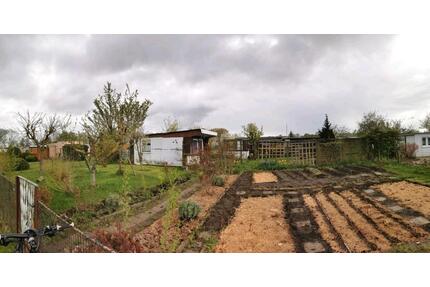 Gemeinsam Gärtnern mit späterer Übernahme - Greifswald Groß Schönwalde