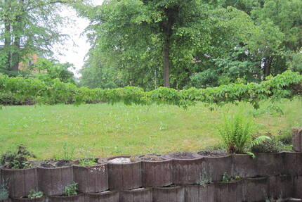 Terrassenwohnung in guter Lage von Ilmenau