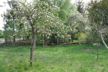 Gartengrundstück zu verpachten - 452,00&nbsp;EUR Kaltmiete, ca.&nbsp; 0,00&nbsp;m&sup2; in Märkisch Linden (PLZ: 16818)