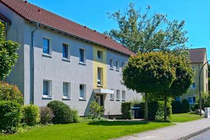 Wohnung zum Mieten in Ahlen 495,00 € 58 m²