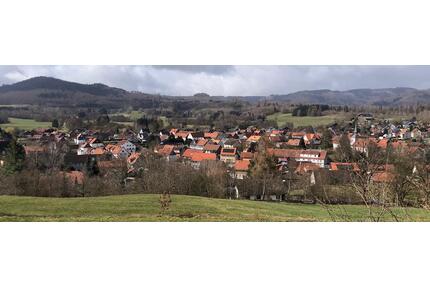 Nurdachhaus Ferienhaus Harz - 115.000,00&nbsp;EUR Kaufpreis, ca.&nbsp; 74,00&nbsp;m&sup2; in Langelsheim (PLZ: 38685)