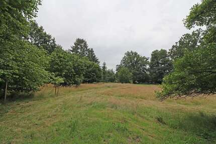 Grundstück zu verkaufen in Dannenberg (Elbe) 80.000,00 € 3738 m²