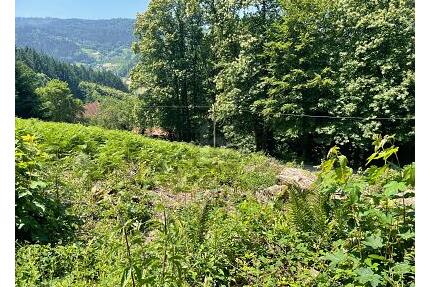 ERSCHAFFEN SIE IHREN WOHNTRAUM IM GRÜNEN - Ottenhöfen im Schwarzwald