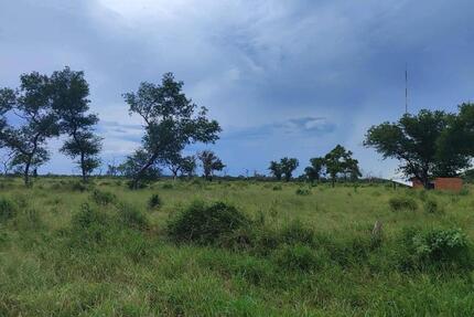 Exklusive Investmentgelegenheit: 16.000 ha - Paraguay - Germering