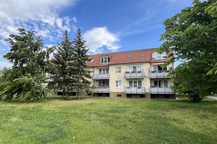 Wohnung zum Mieten in Borna 300,00 € 44.3 m²