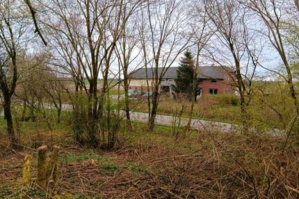 Haus Resthof Bauernhof in Nordfriesland zu verkaufen - Klanxbüll