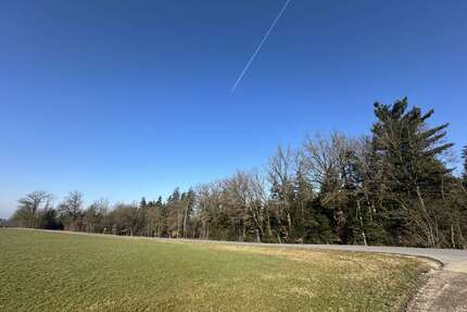 Grundstück in Tiefenbach 111.144,00 € 27786 m²