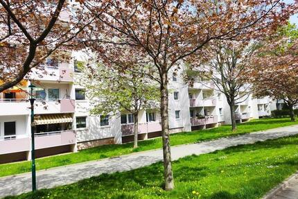 3-Raum-Wohnung mit Balkon ab Mai verfügbar - Chemnitz Kapellenberg