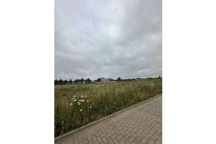 Grundstück zu verkaufen in Reinkenhagen 99.500,00 € 717 m²