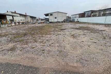 Grundstück in Landau 12.000,00 € 800 m²