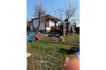 300qm Pachtgarten in Erfurt nähe Friedhof