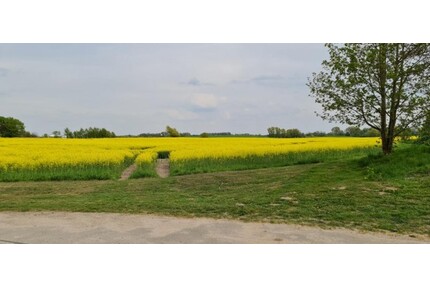 RIESIGES FREIZEITGRUNDSTÜCK - 121.280,00&nbsp;EUR Kaufpreis, ca.&nbsp; 9.607,00&nbsp;m&sup2; in Walkendorf-Repnitz (PLZ: 17129)