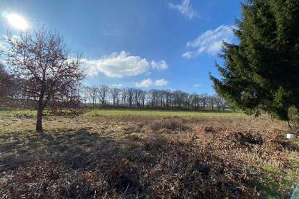 Großzügiges Mehrfamilienhaus + Blockhütte auf großem Grundstück ! - Hamburg Lemsahl-Mellingstedt