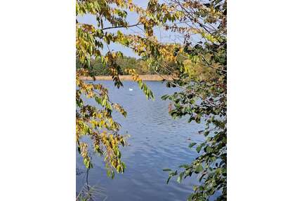 Grundstück zu verkaufen in Falkensee 295.500,00 € 750 m²