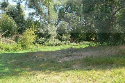 *Großzügiges Grundstück in Buschdorf zu verkaufen*! - Zechin Buschdorf