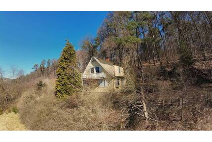 ***reserviert*** Wohnen mitten im Wald - Knüllwald-Wallenstein