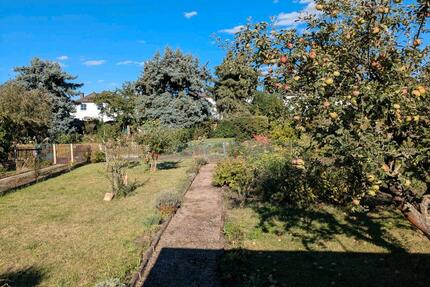 Garten in Apolda - 1.500,00&nbsp;EUR Kaltmiete, ca.&nbsp; 0,00&nbsp;m&sup2; in Apolda (PLZ: 99510)