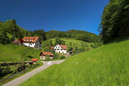 Ferienwohnung im Schwarzwald-Bauernhof ❤ Ruhe + Natur ❤ 2-6 Pers. - Oppenau