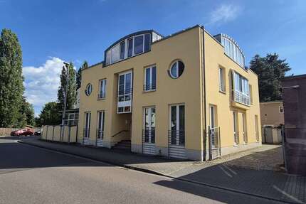 Wohnung zum Mieten in Dresden 495,00 € 61.4 m²