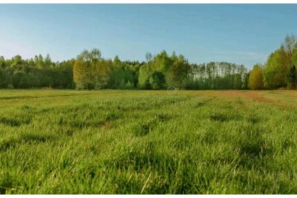 Wiese zum Heuen - 250,00&nbsp;EUR Kaltmiete, ca.&nbsp; 0,00&nbsp;m&sup2; in Senden (PLZ: 48308)