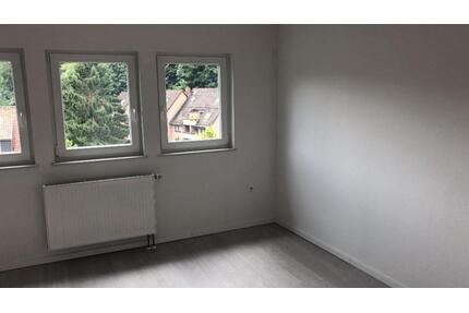 Schöne komplett sanierte 3 Zimmer Wohnung in Bad Grund - Bad Grund (Harz)