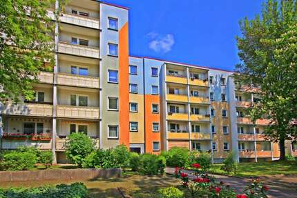 Wohnung zum Mieten in Zwickau 388,60 € 58 m²
