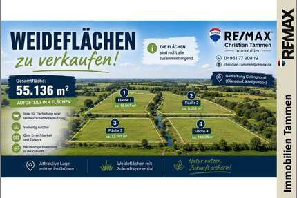 Grundstück in Rhauderfehn 139.000,00 € 55136 m²