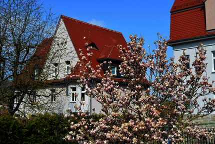 Wohnung zum Mieten in Meiningen 355,00 € 58.8 m²