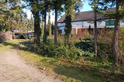Haus zum Kaufen in Groß Kreutz (Havel) 549.000,00 € 214.74 m²