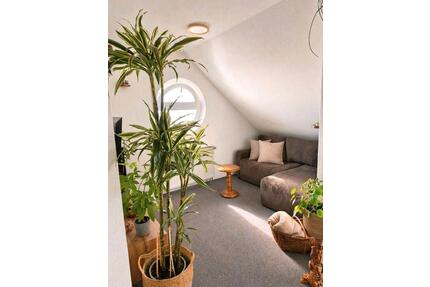 Helle Maisonette-Wohnung mit 2 Balkonen – ideal für Einzelperson - Trossingen