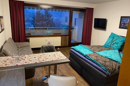 BAD GRUND -1-Zi-WOHNUNG im HARZ, Vollausstattung, Vollmöbliert - Bad Grund (Harz)